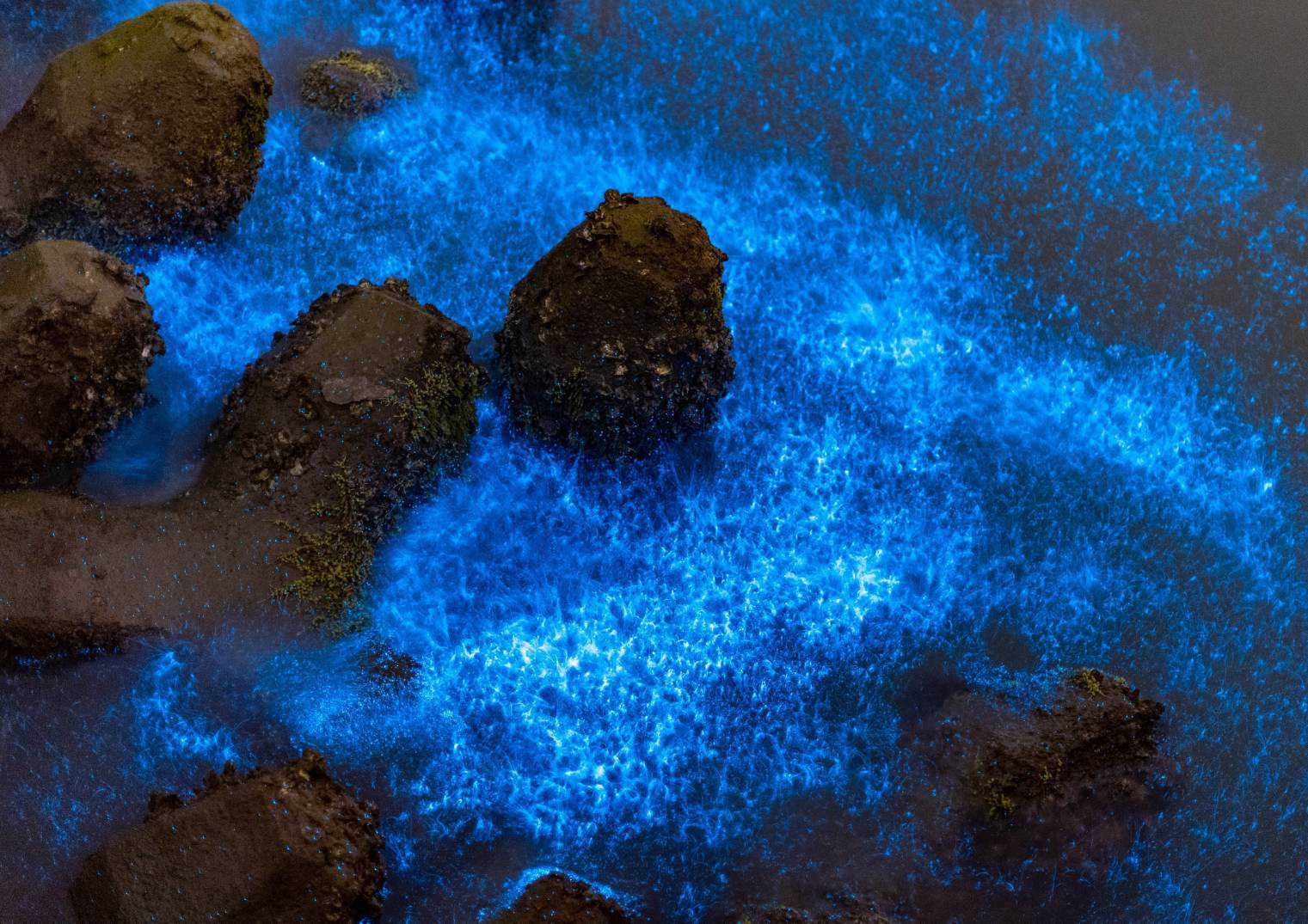 ef92ed5d80c1c793087f48d812c2814f