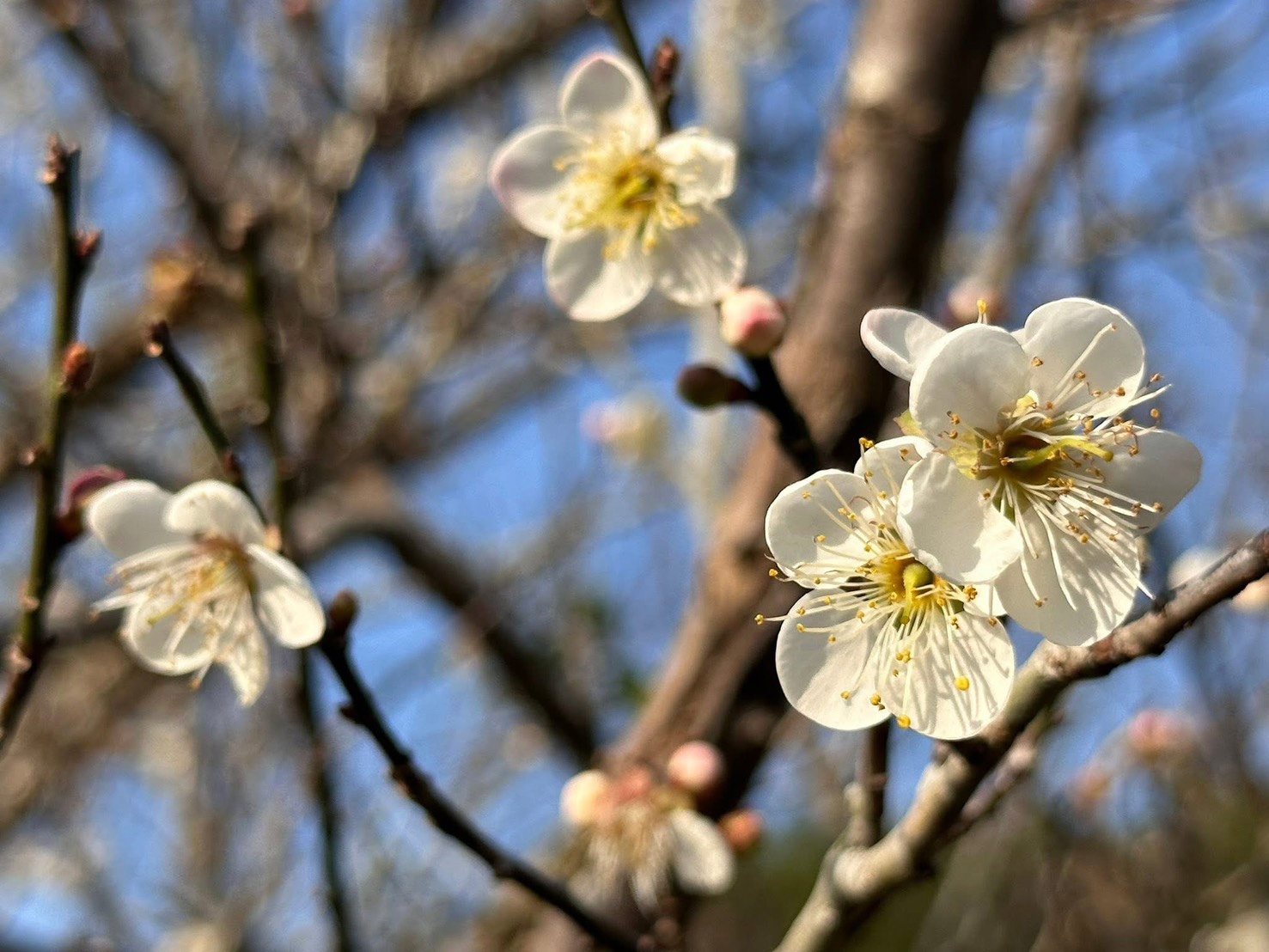 371ca9a29c4b077a780a48554515eb00