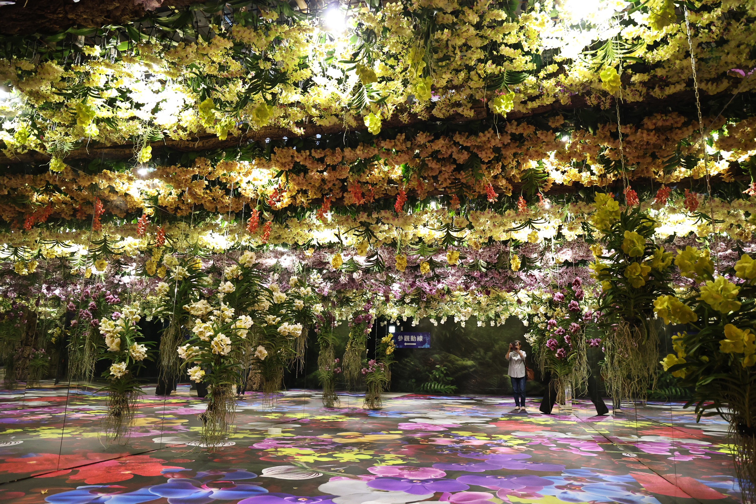 f101d06683a5283c2946586d045e0541