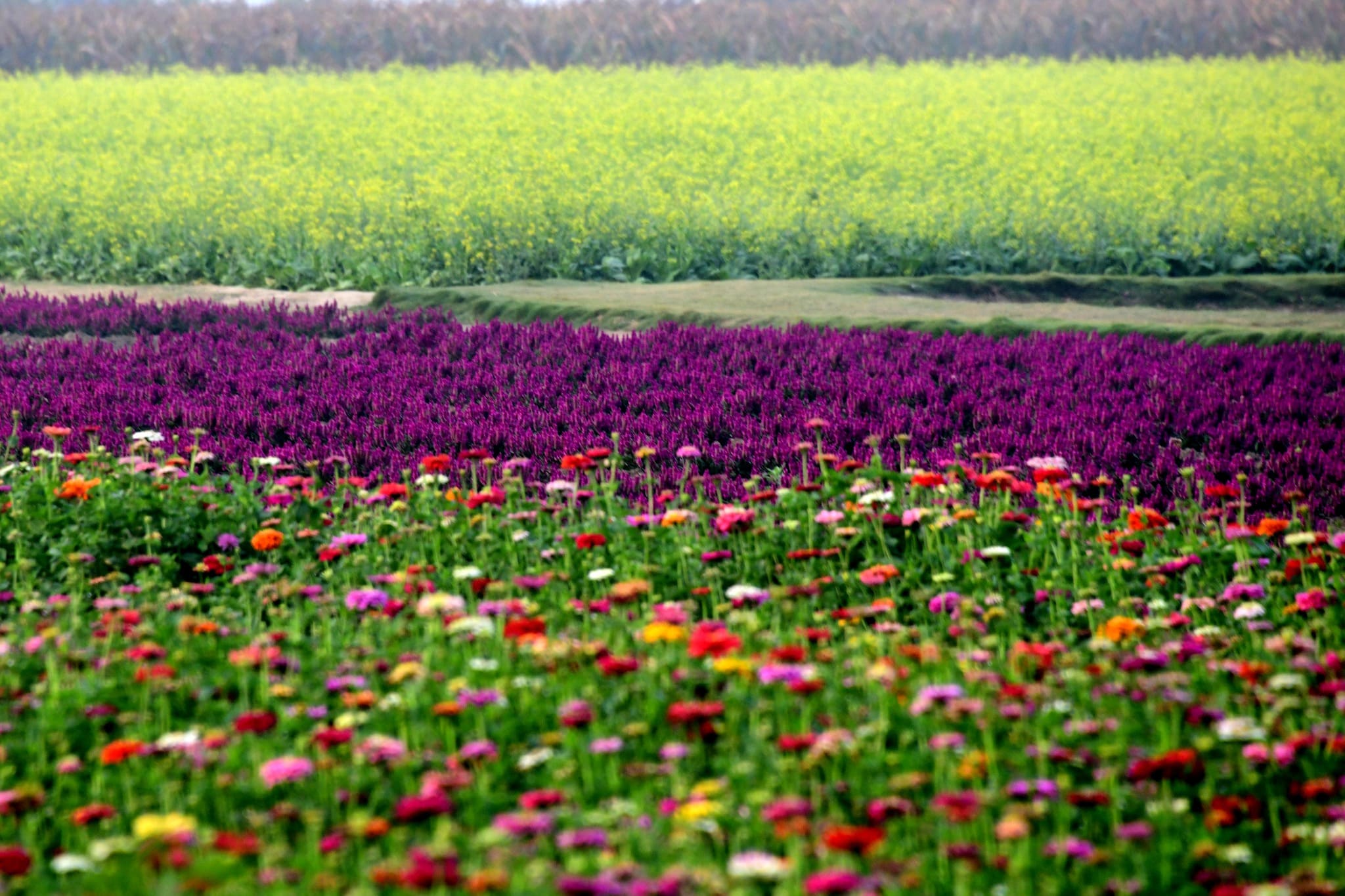 0fc69d60e02481ec60a5868dd1df4f27