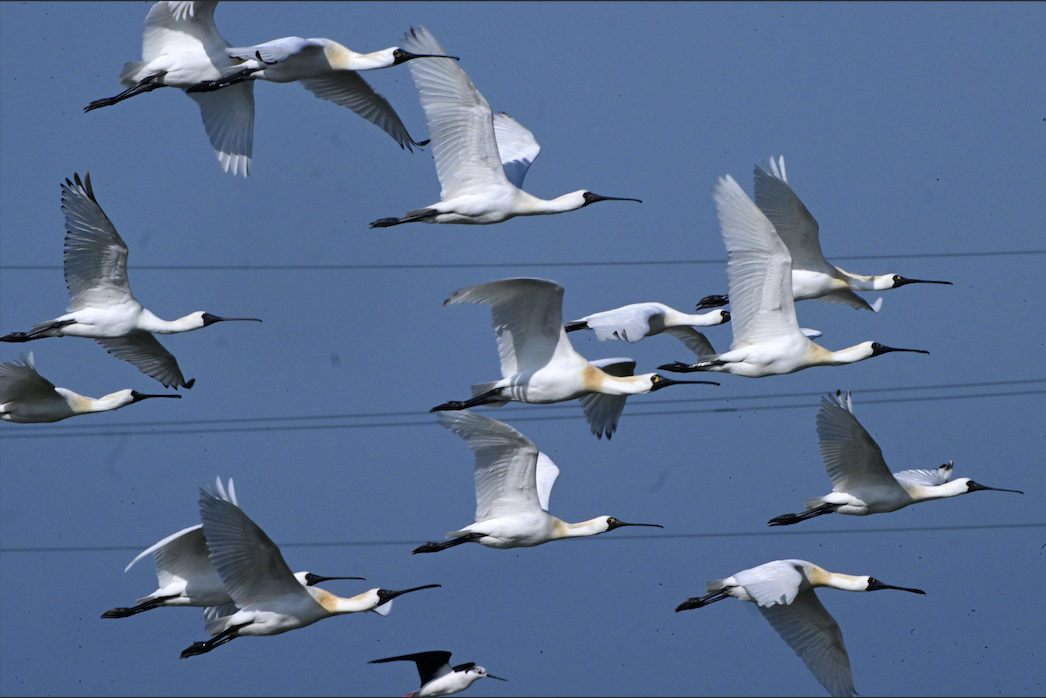 2f06fe7d0ac5322e4fbfb5a6e7d1eeb1