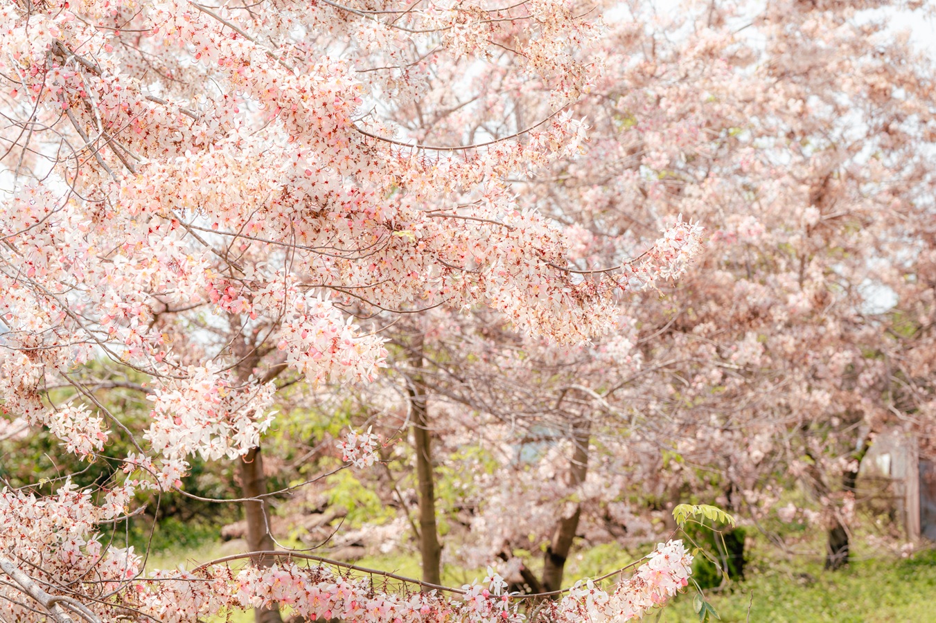 ca4fcad11c84e408196ebf4e7e42cbbf