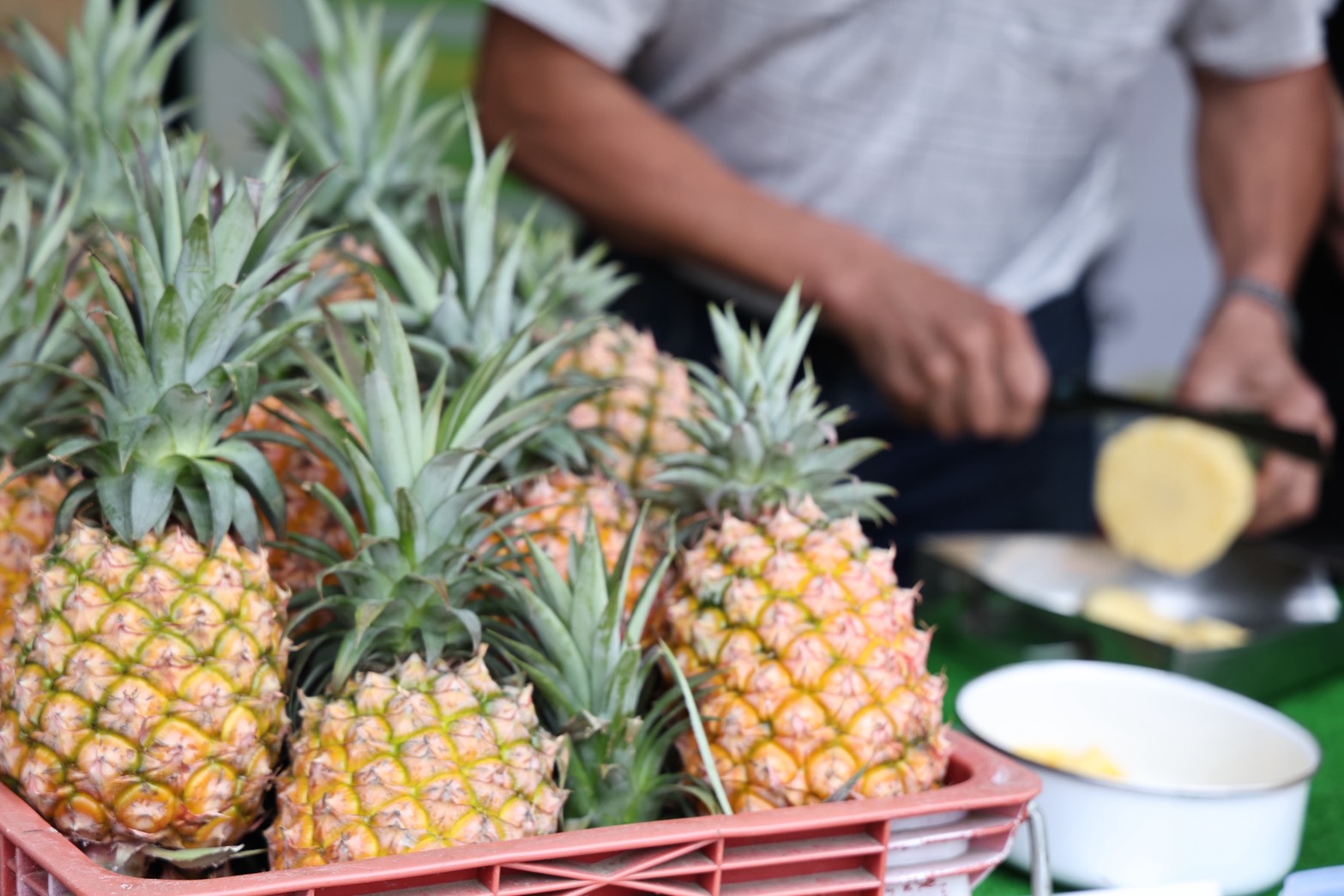 f7fd8c5bf7fe8ed30f54dc7af2a7f20f